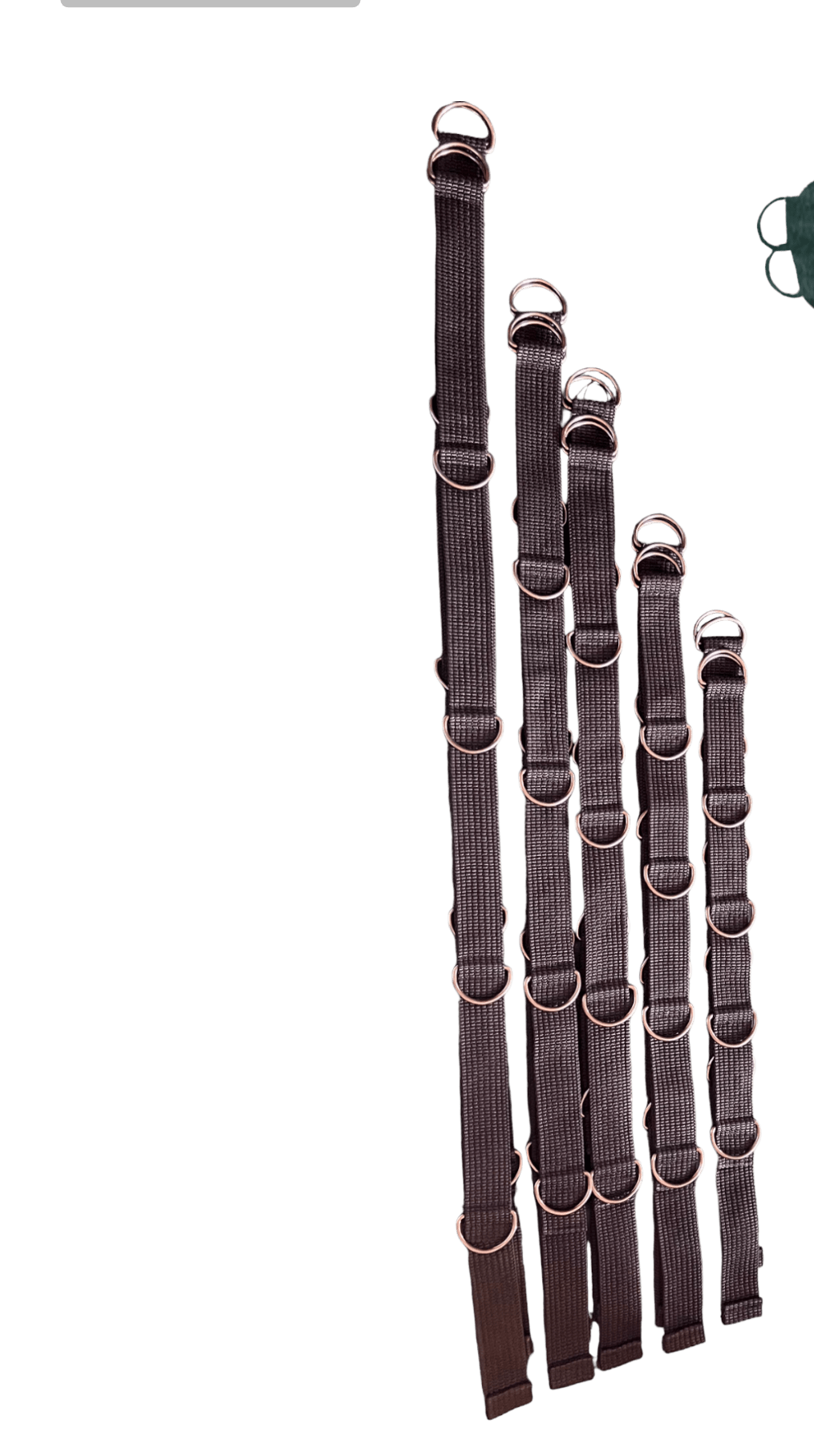 d069f6d7-7505-4286-b66d-acff3d404af0-Photoroom